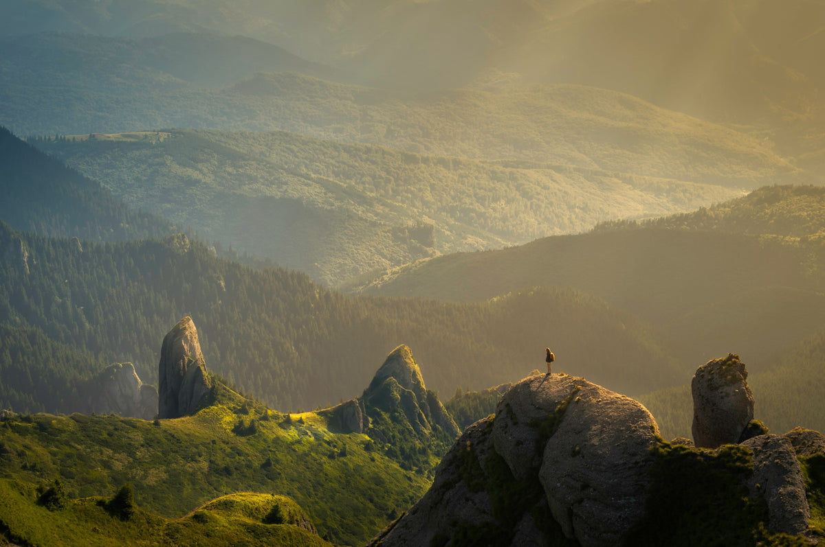 La nature nous enseigne